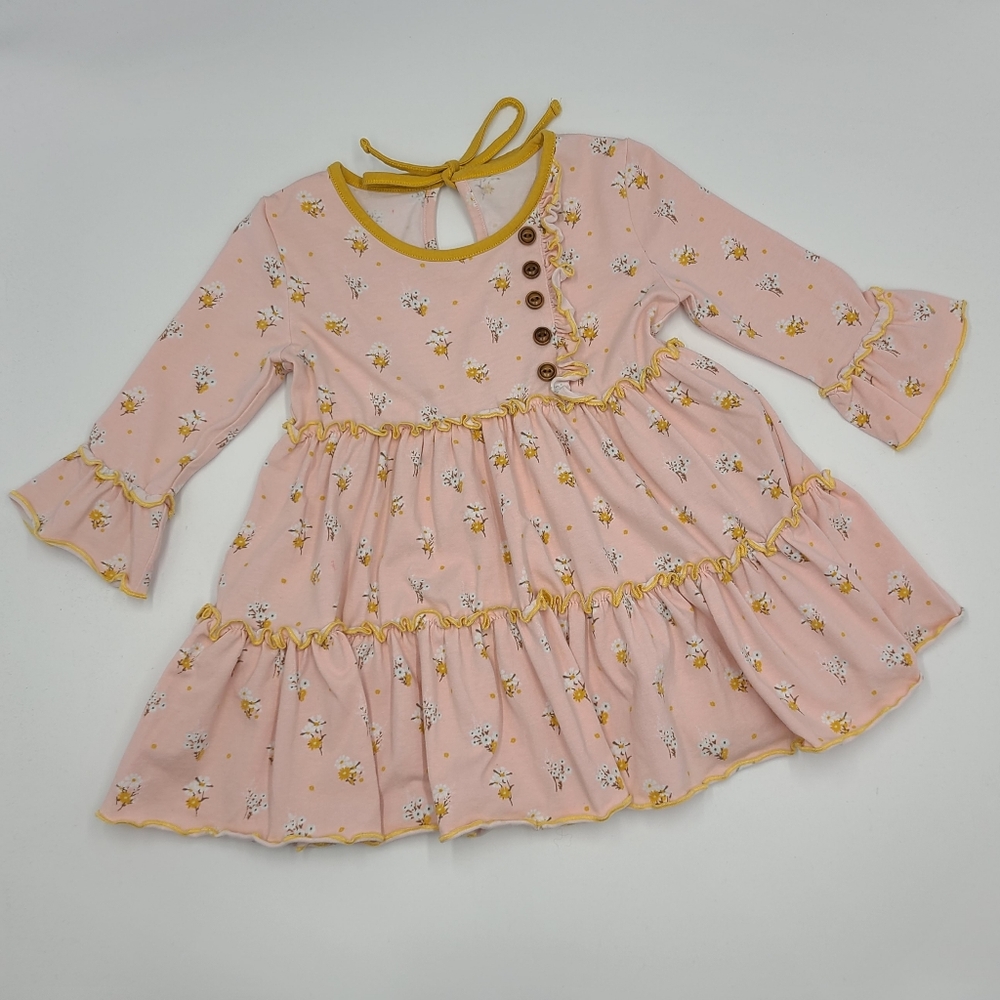 Shrimp & Grits floral ruffle dress size 2T